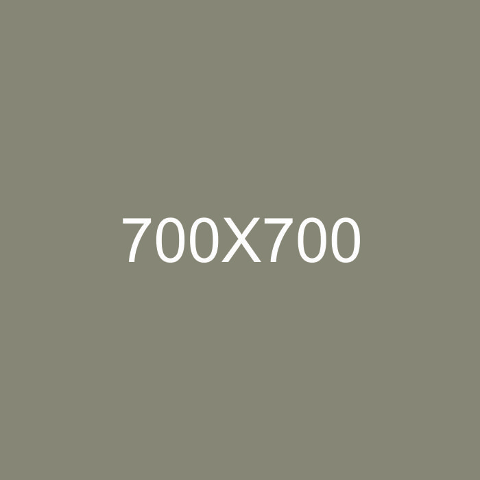 Vincent Chase VC 8868